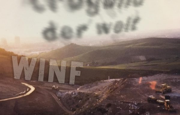 WINF – Trugbild der Welt